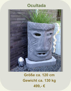 Ocultada  Größe ca. 120 cm Gewicht ca. 130 kg 499,- €